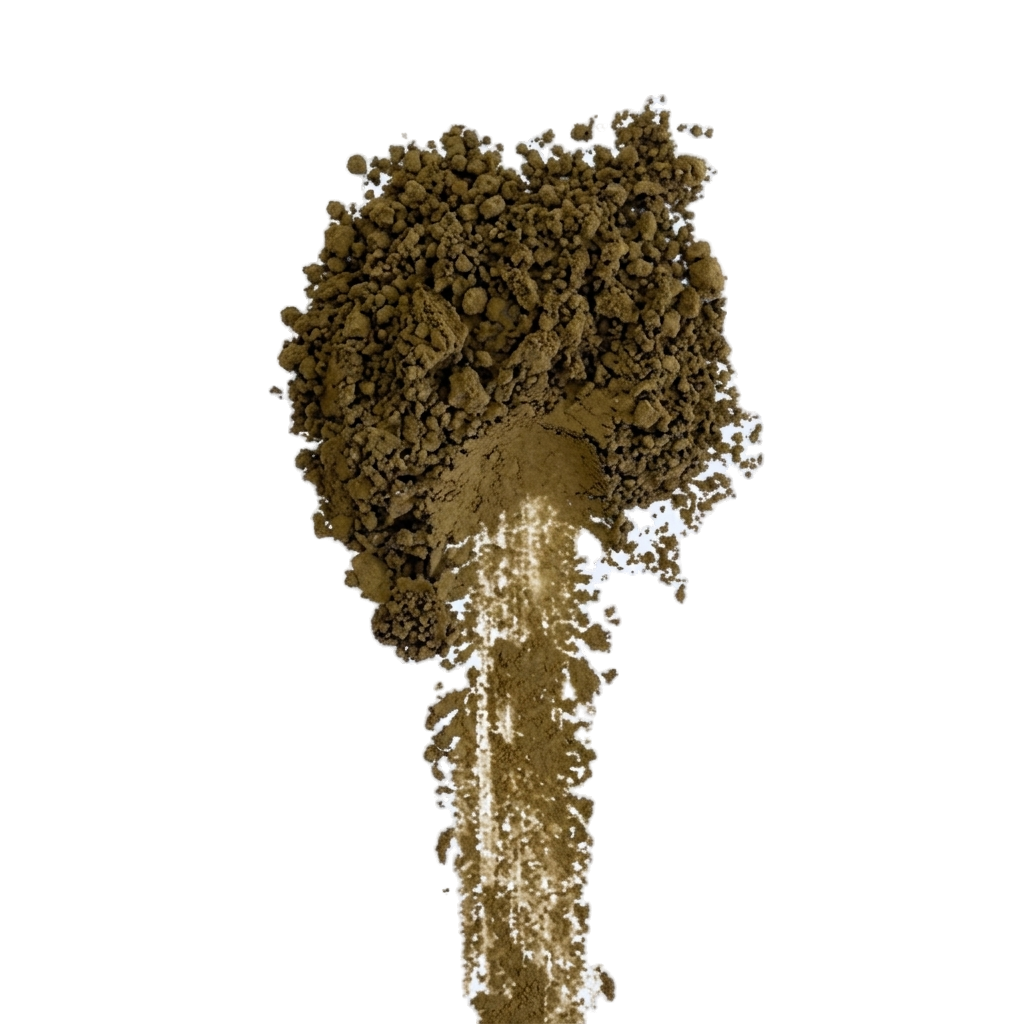 Hojicha Roasted Green Tea HS03